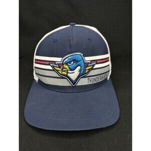 Springfield Thunderbirds adjustable mesh Trucker SnapBack Hat 47 Brand Blue